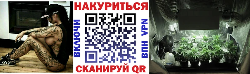 цена наркотик  Светлый  Шишки марихуана ГИДРОПОН 